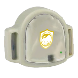 Guard Icon